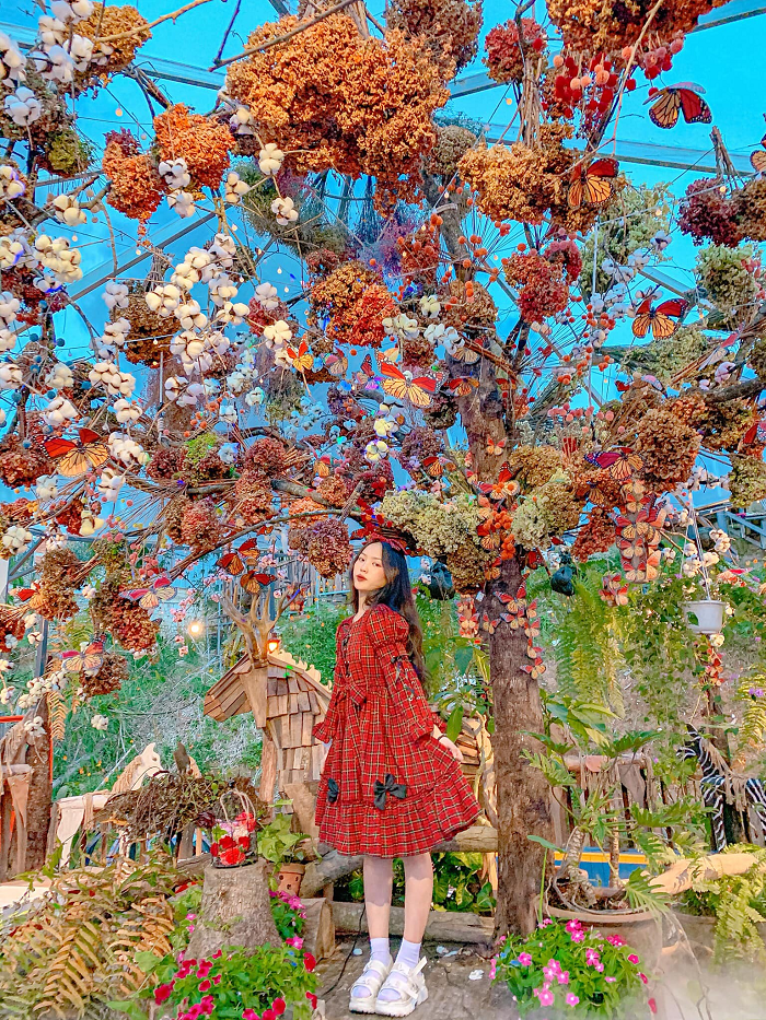 Magic Land Đà Lạt - Thoải mái khám phá rạp xiếc Châu Âu ngay trong lòng phố hoa