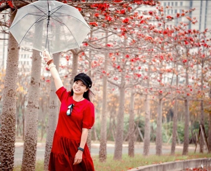 Bên cạnh con đường hoa phong linh Hà Nội là hàng cây hoa gạo với nét đẹp mộc mạc