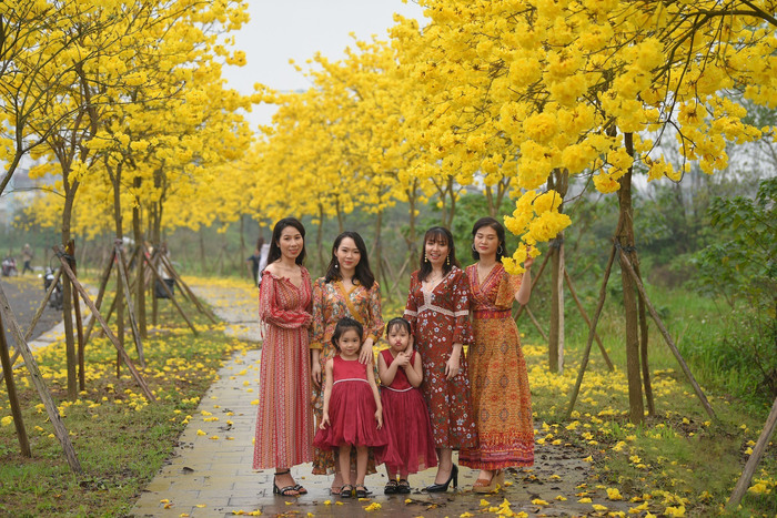 Nhiều người thậm chí còn thuê đồ để đến Con đường hoa phong linh Hà Nội chụp theo đúng concept thiết kế sẵn.