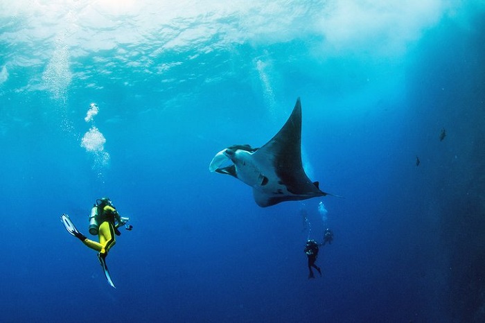 hướng dẫn du lịch Zihuatanejo