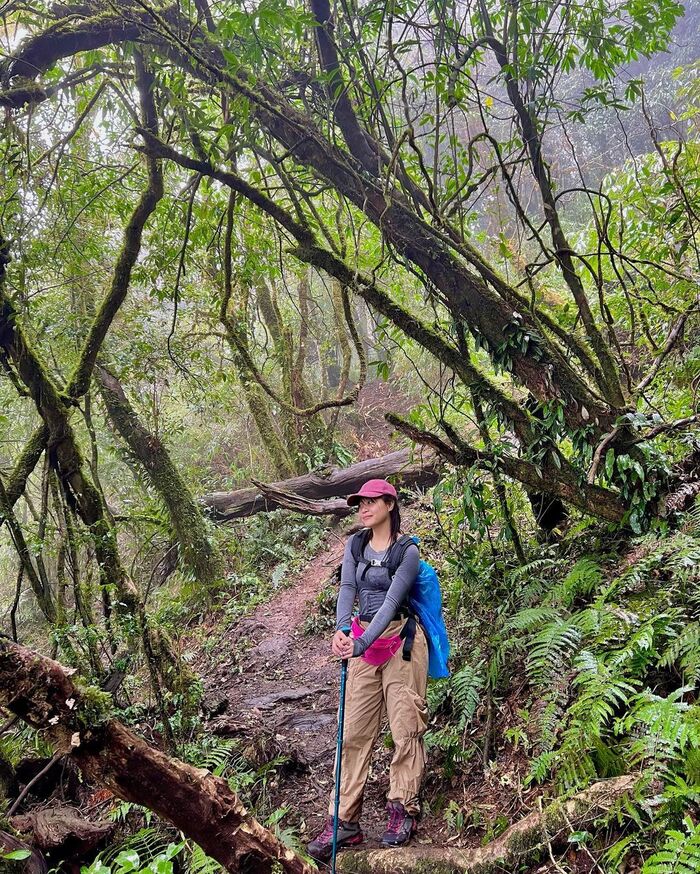 Trải nghiệm trekking và chinh phục những ngọn núi đẹp ở Lào Cai dành cho team mê khám phá