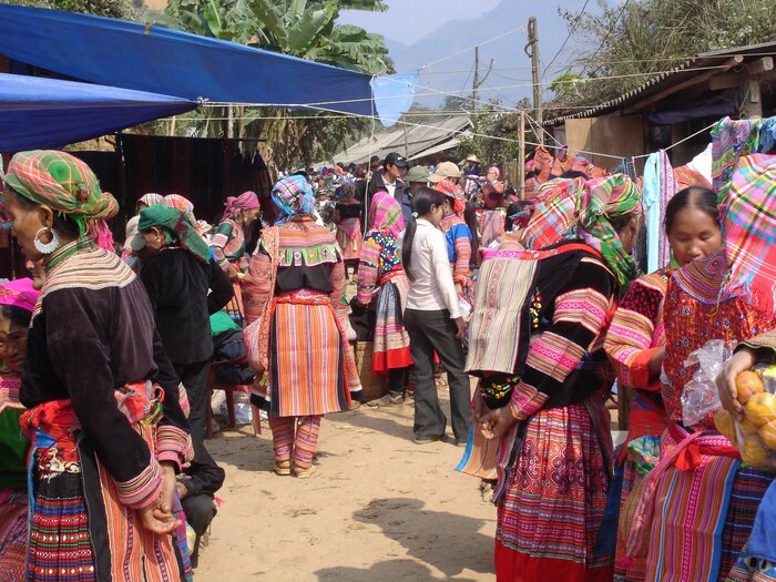 Trải nghiệm trekking và chinh phục những ngọn núi đẹp ở Lào Cai dành cho team mê khám phá