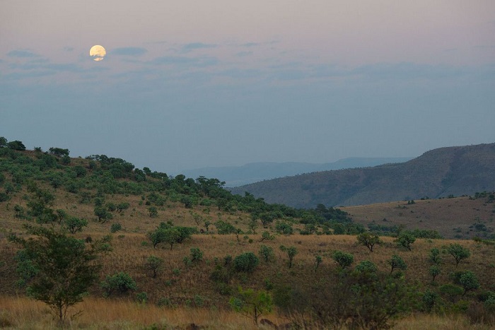 những điều kỳ lạ chỉ có ở Ethiopia