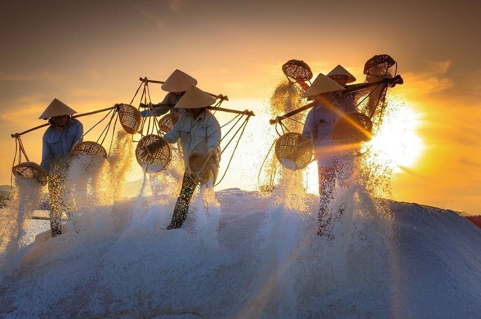 Cánh đồng muối nổi tiếng Việt Nam