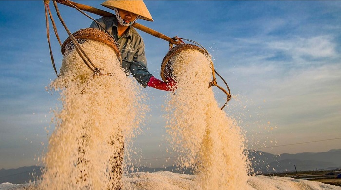 Cánh đồng muối nổi tiếng Việt Nam