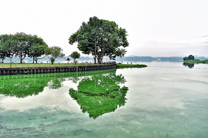 địa điểm dã ngoại ở Singapore