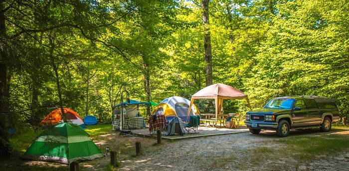 khám phá công viên Shelby Farms