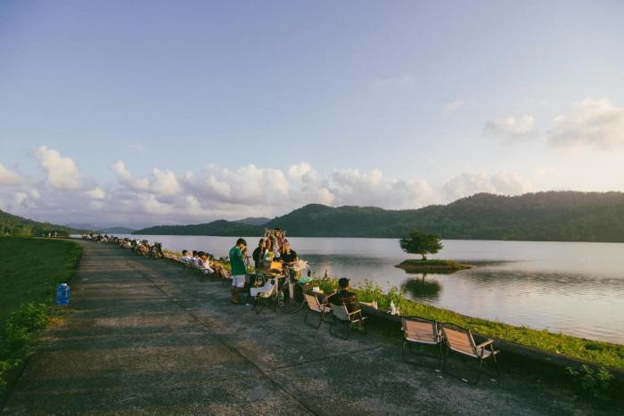 Cây cô đơn hồ Phú Ninh
