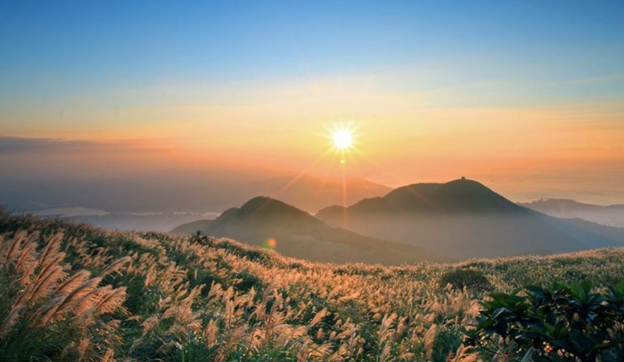 Nếu thấy những động vật hoang dã khi tham quan, du khách không nên tiến lại gần để bảo vệ an toàn cho bản thân. 