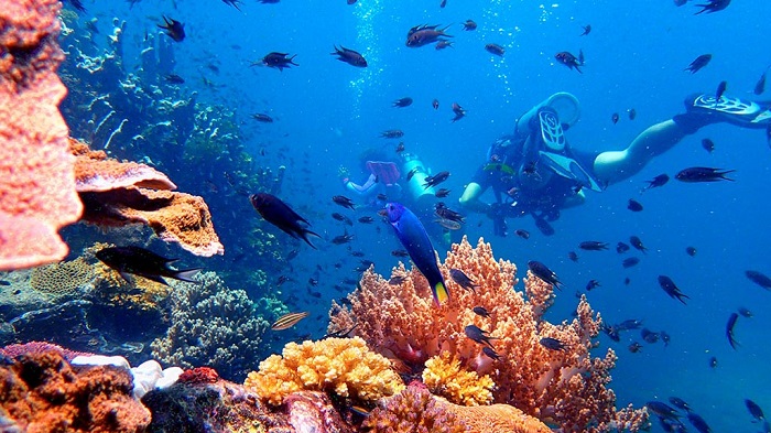 đảo Tioman Malaysia