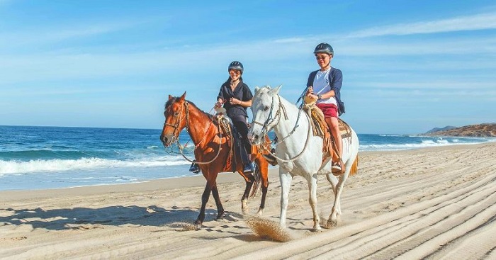 Một hoạt động thú vị khi du lịch Todos Santos mà du khách không thể bỏ lỡ là cưỡi ngựa xung quanh thị trấn