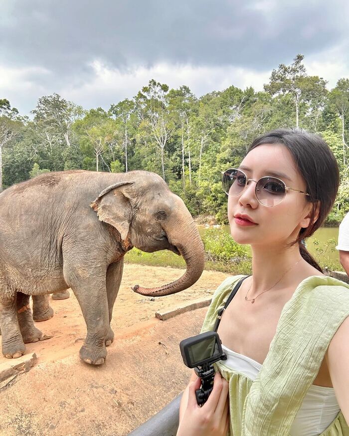 kinh nghiệm đi Vinpearl Safari Phú Quốc - khám phá vườn thú bán hoang dã