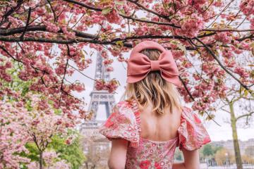 Ngắm hoa anh đào ở Paris: Mách bạn 10 địa điểm đẹp nhất, tha hồ có ảnh đẹp mang về
