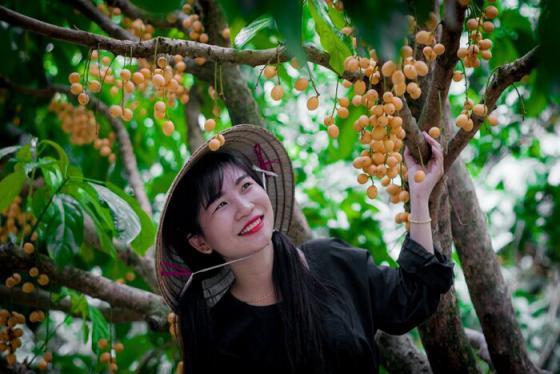 Khám phá 5 vườn trái cây gần Sài Gòn – Các điểm du lịch lý tưởng vào mùa hè ‘must-go’ được nhiều người săn đón
