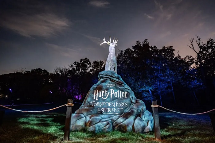 Nếu bạn muốn trải nghiệm Harry Potter ở Mỹ vào ban đêm, Harry Potter: Trải nghiệm Rừng Cấm chính là nơi hoàn hảo