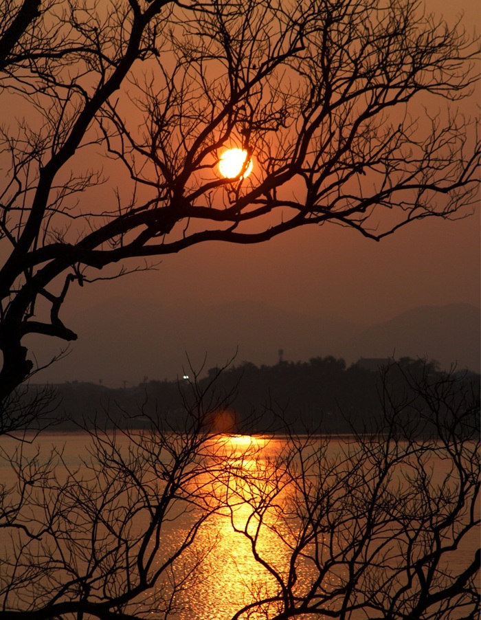 Ánh hoàng hôn len qua những tán cây, phản chiếu xuống mặt nước tạo nên khung cảnh trầm lắng khi ngày dần khép lại. 