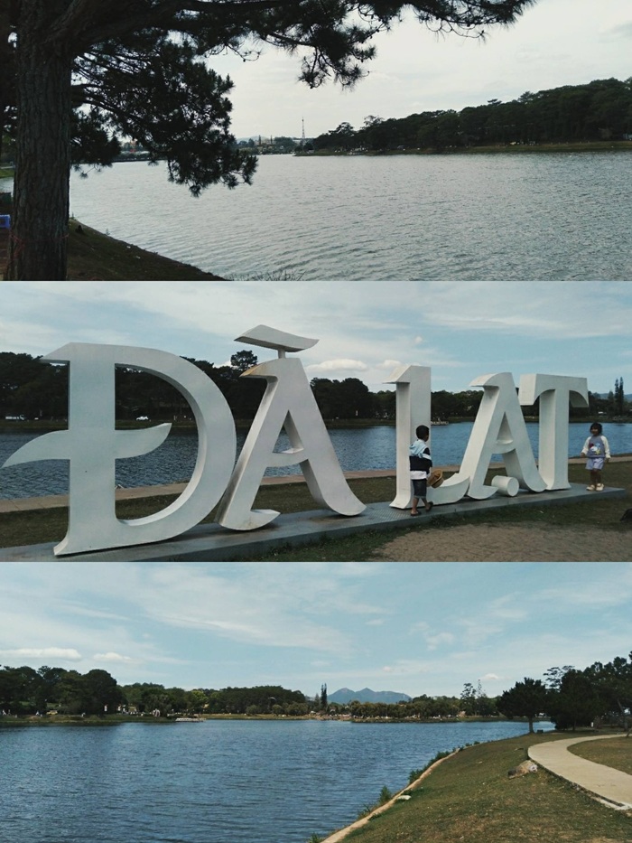 Hành trình của Tấn Lộc cũng đã lưu lại những cảm xúc dịu dàng của xứ sở ngàn hoa - Đà Lạt. 