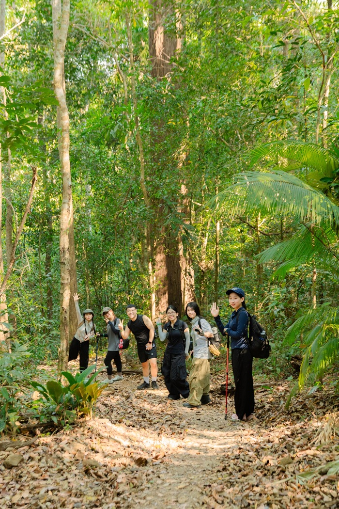 Hình ảnh con người hiện lên nhỏ bé, nổi bật sự chênh lệch về tỷ lệ giữa rừng xanh.