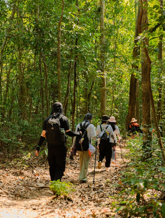 Những bước chân giữa rừng xanh, nơi con người tạm rời phố thị để hòa mình vào nhịp thở chậm rãi của thiên nhiên. 