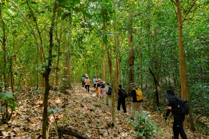 Không gian mát mẻ kết hợp với sắc xanh của thiên nhiên làm tăng tính dễ chịu cho chuyến đi.