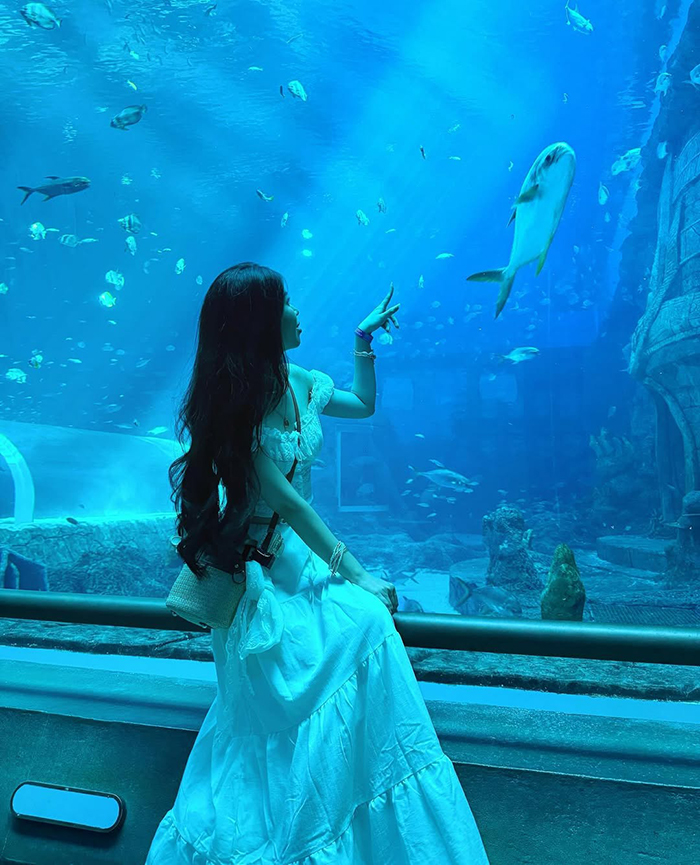 Thủy cung Vinpearl Aquarium Times City - 20/10 đi đâu chơi ở hà nội