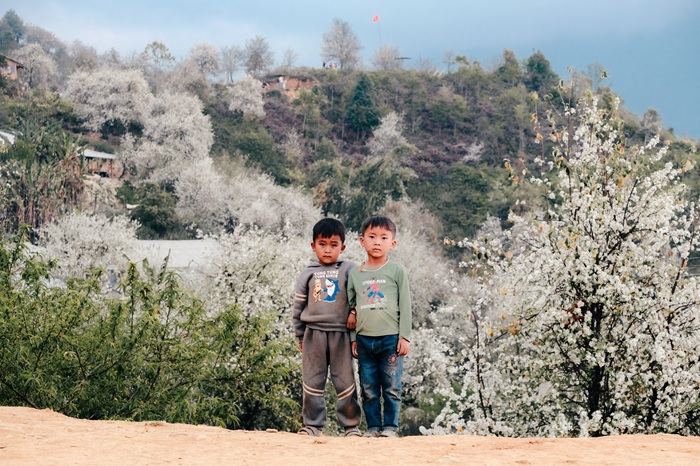 Hai bé trai chụp ảnh với rừng hoa sơn tra trắng muốt tại bản Nậm Nghiệp. Ảnh: Việt Anh.