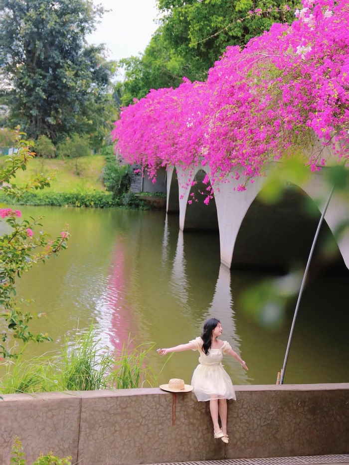 Các nàng thơ tha hồ check in với cầu hoa giấy Ecopark Hưng Yên