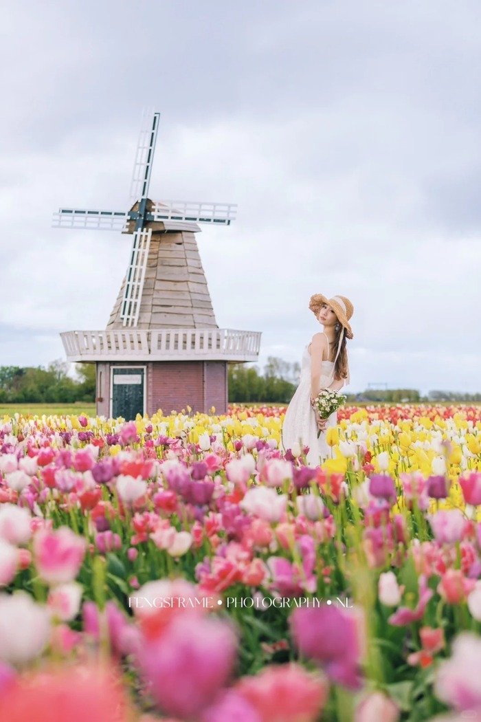 Thời điểm du lịch chợ hoa Bloemenmarkt Hà Lan lý tưởng nhất là mùa xuân