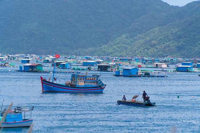 Hệ thống lồng bè nuôi hải sản tạo nên khung cảnh đặc trưng trên vùng nước yên bình.