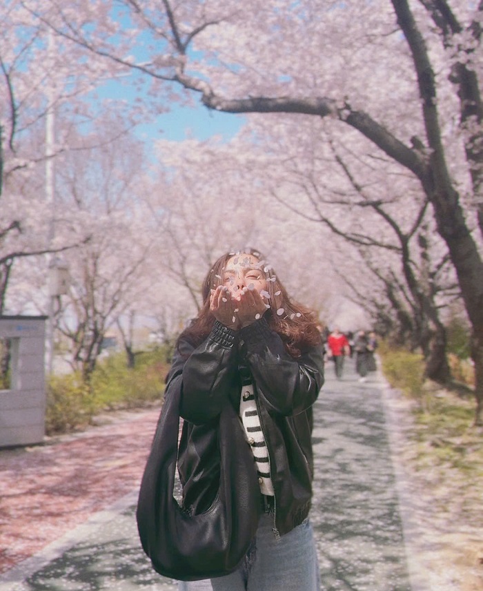 Lên lịch Tour du lịch Hàn Quốc từ Hà Nội giá tốt nhất ngay thôi nào