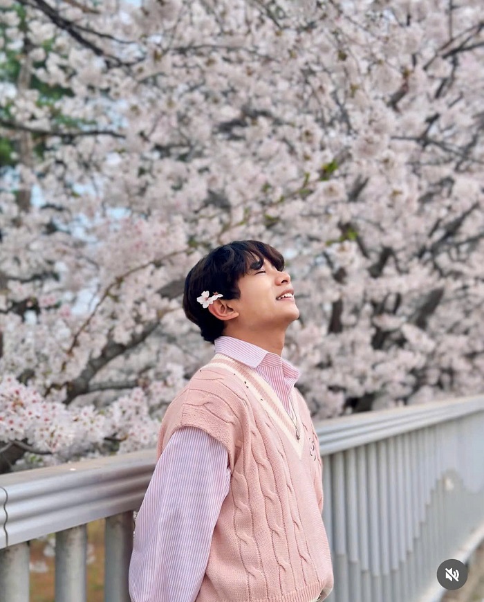 Không thể bỏ qua mùa hoa anh đào tuyệt đẹp với tour du lịch Hàn Quốc từ Hà Nội giá tốt nhất