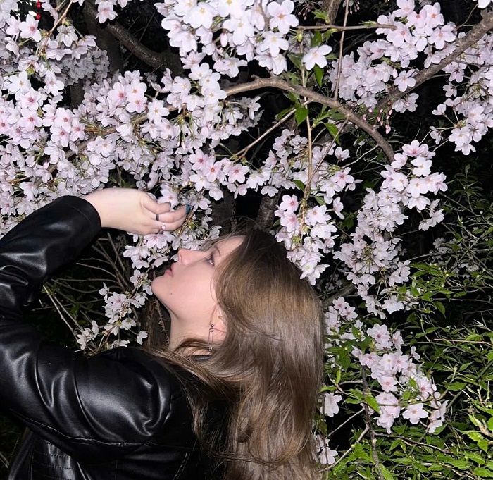 Đảo Nami chờ đón khách tour du lịch Hàn Quốc từ Hà Nội giá tốt nhất