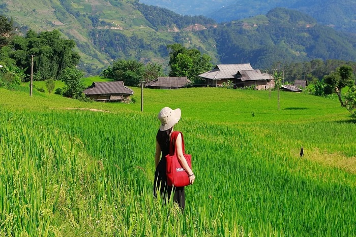 Bản Phùng Hà Giang ở đâu?