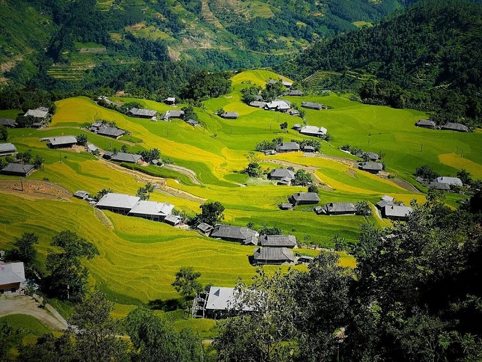 Bản Phùng Hà Giang đẹp nhất vào mùa thu lúa chín