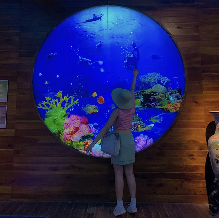 Thông tin chung về Bảo tàng Bà Rịa Vũng Tàu cần biết