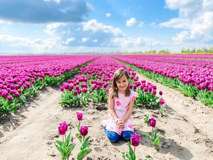 Các cánh đồng hoa tulip đẹp nhất ở Hà Lan - Goeree-Overflakkee