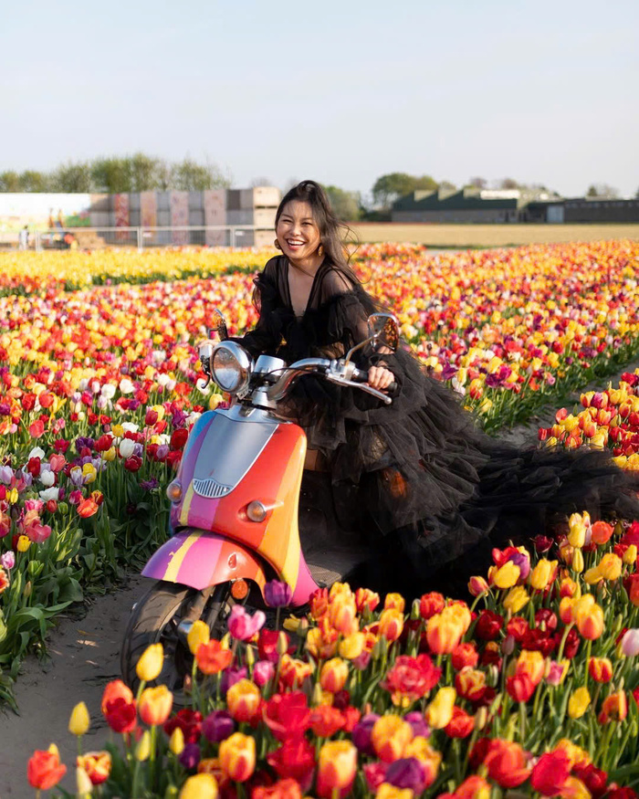 Các cánh đồng hoa tulip đẹp nhất ở Hà Lan - Bollenstreek