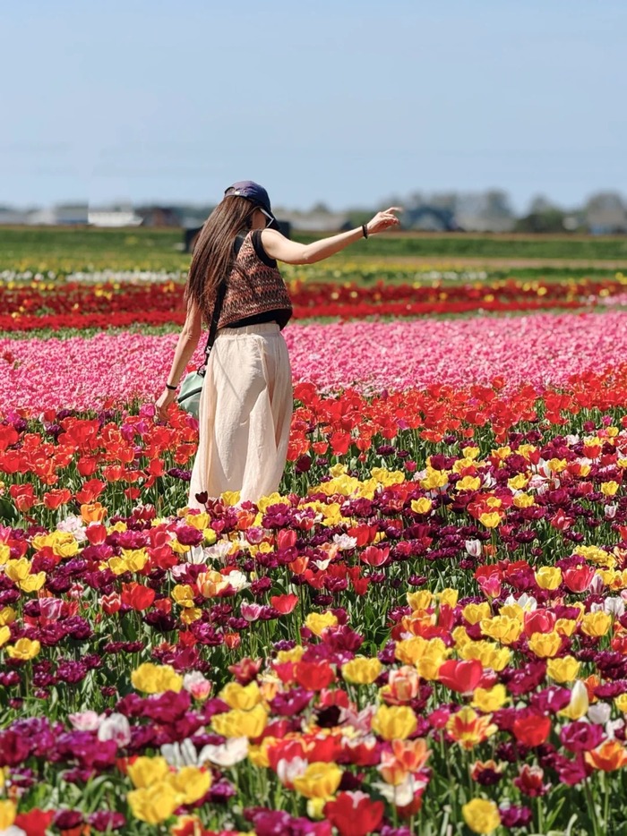 Thời điểm ghé thăm các cánh đồng hoa tulip đẹp nhất ở Hà Lan lý tưởng là mùa xuân