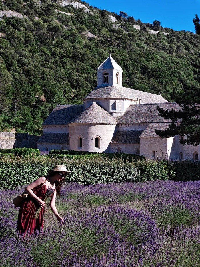 Các cánh đồng oải hương đẹp ở Provence Pháp - Vùng Luberon