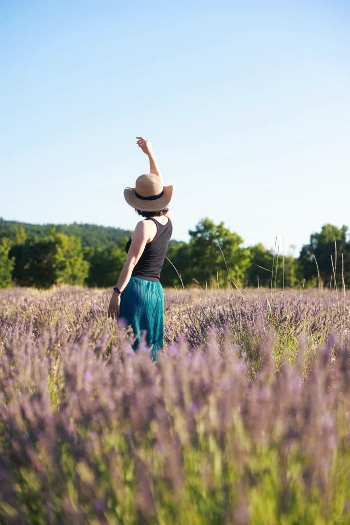 Các cánh đồng oải hương đẹp ở Provence Pháp - Vùng Sault