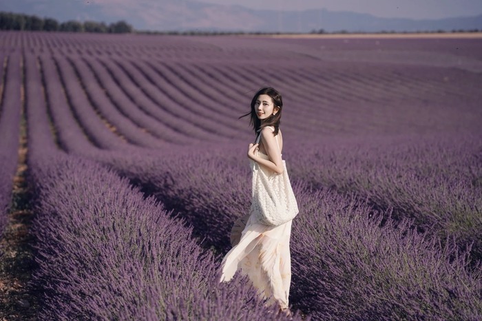 Thời điểm ghé thăm các cánh đồng oải hương đẹp ở Provence Pháp lý tưởng là mùa hè tháng 7