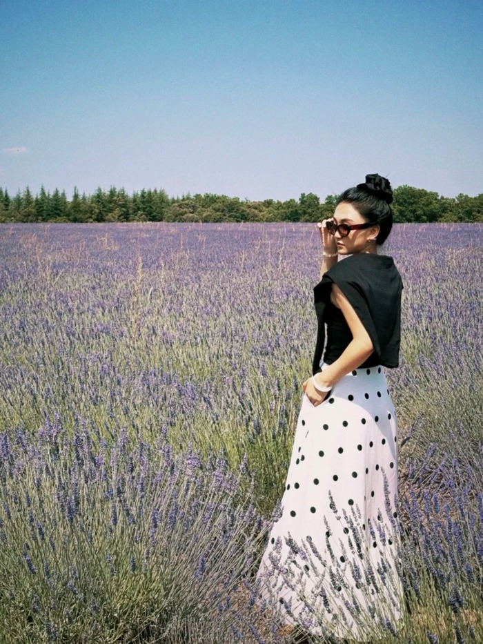 Các cánh đồng oải hương đẹp ở Provence Pháp - Vùng Luberon