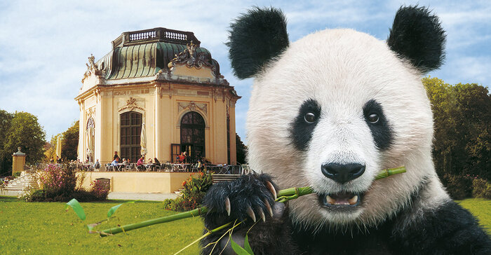 Những địa điểm khác nổi tiếng tại cung điện Schonbrunn Áo