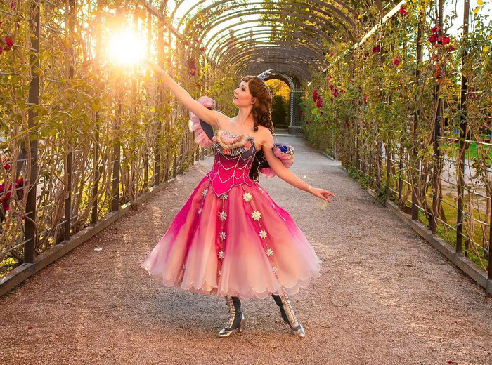 Những địa điểm khác nổi tiếng tại cung điện Schonbrunn Áo