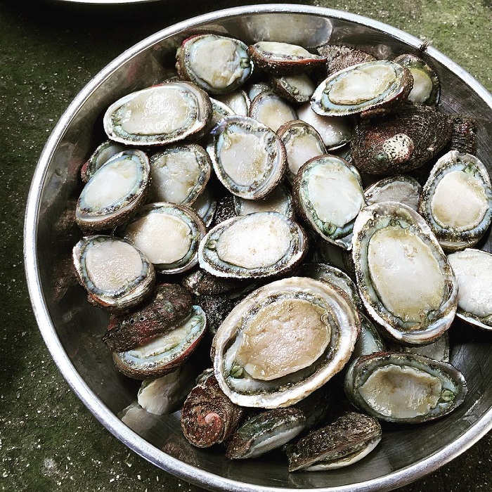 Đảo Bạch Long Vĩ Hải Phòng có nhiều loại hải sản tươi ngon