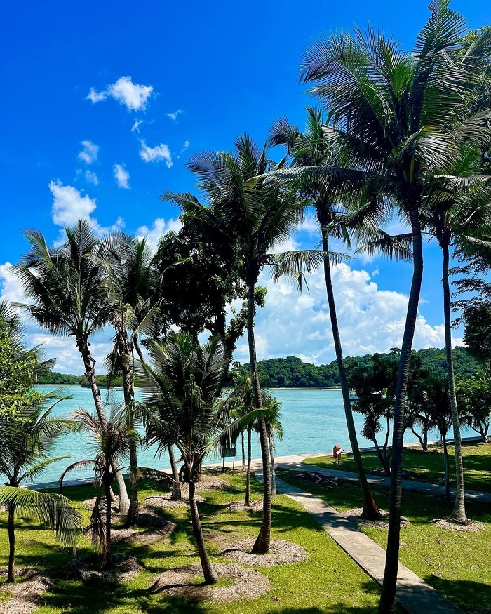 Lưu ý khi khám phá đảo Saint John Singapore 