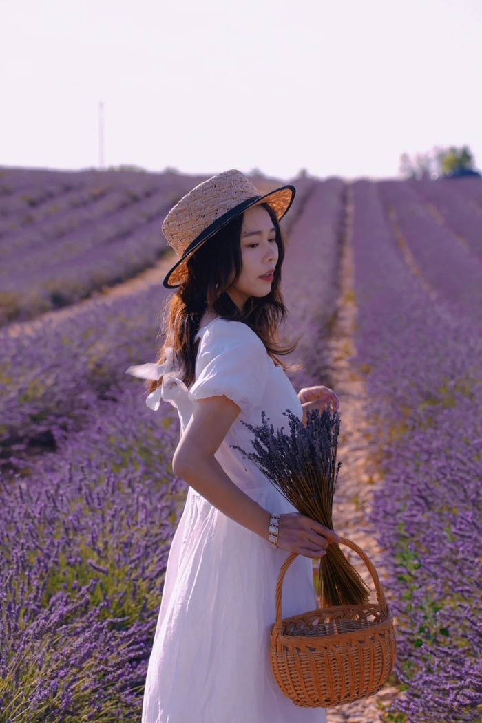 Các điểm du lịch mùa hè nổi tiếng ở châu Âu - Provence