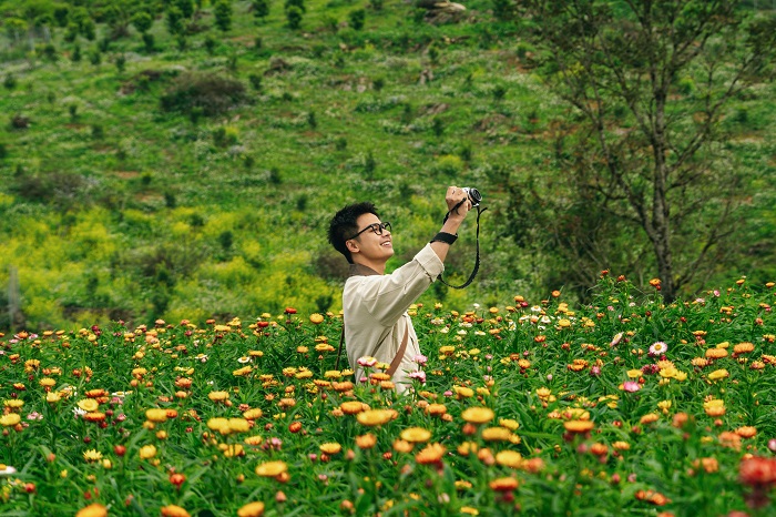 Đồi hoa bất tử Mộc Châu mới mở cửa đón khách từ Tết 2026