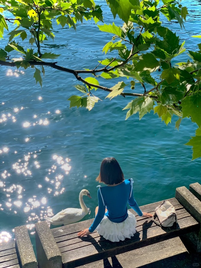 Hồ Zurich Thụy Sĩ nổi tiếng với vẻ đẹp trong trẻo, thơ mộng