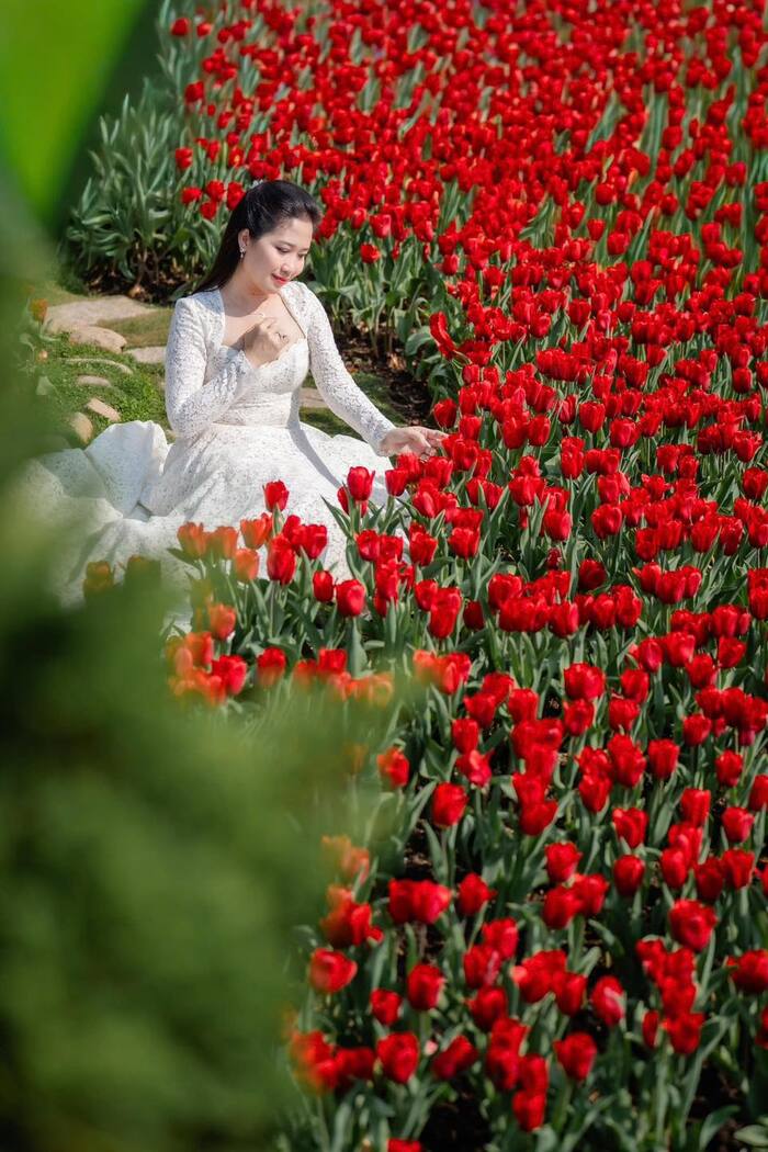 Các huyệt đạo linh thiêng nhất Việt Nam - Núi Bà Đen, Tây Ninh